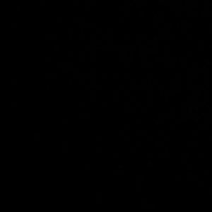 Meet your Posher, Tamberia